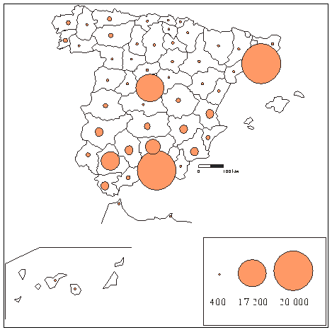 grafico 5