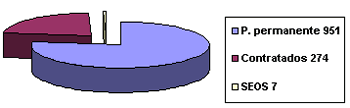 grafico 14