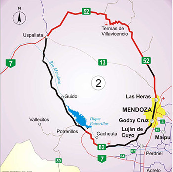 grafico 7